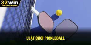 luật chơi pickleball